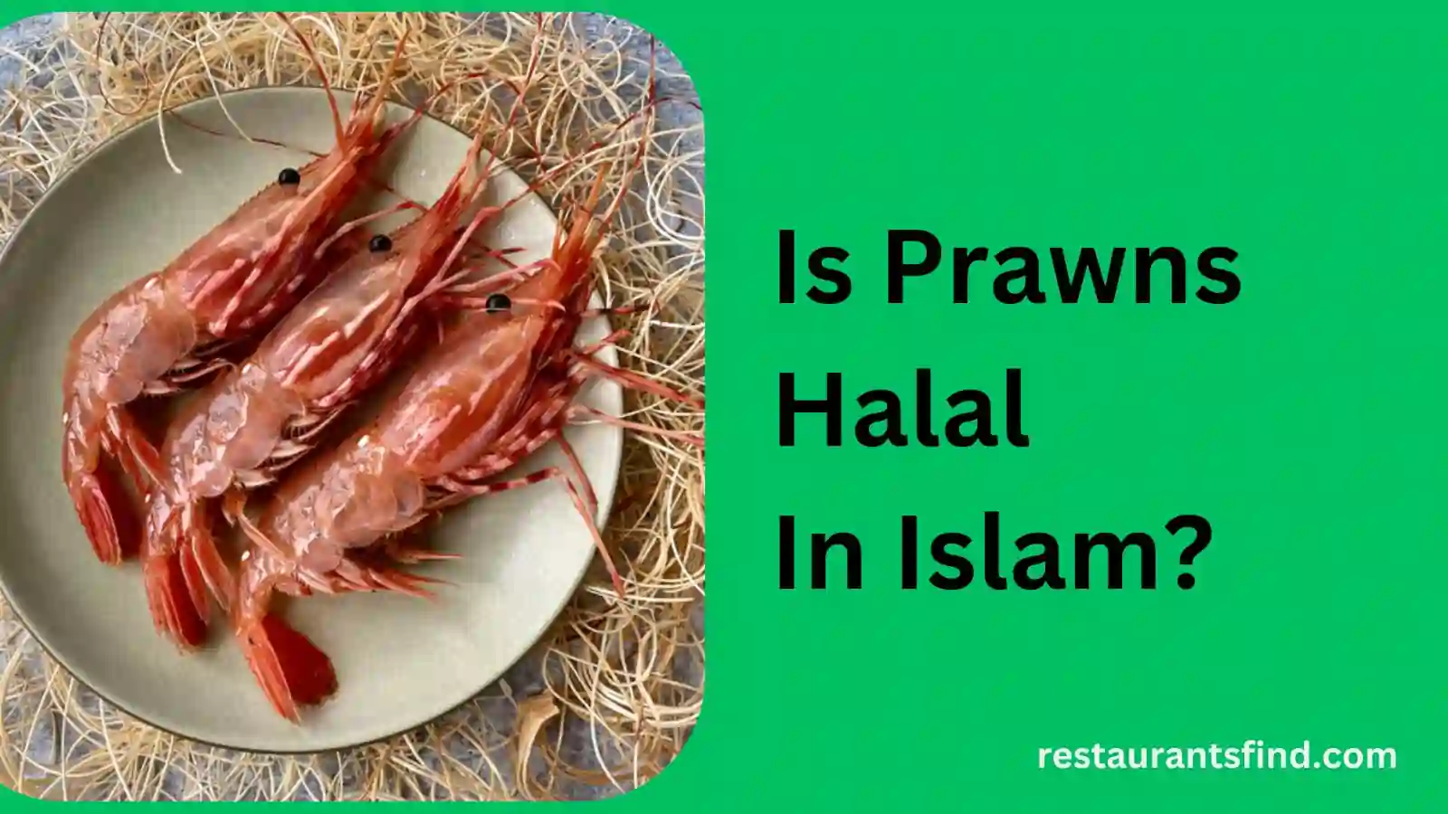 Is Prawns Halal In Islam