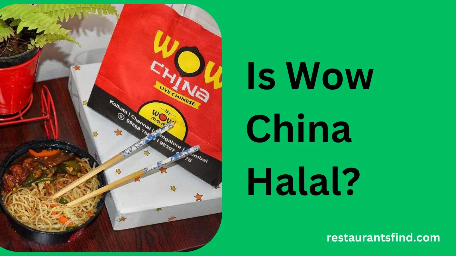 Is Wow China Halal