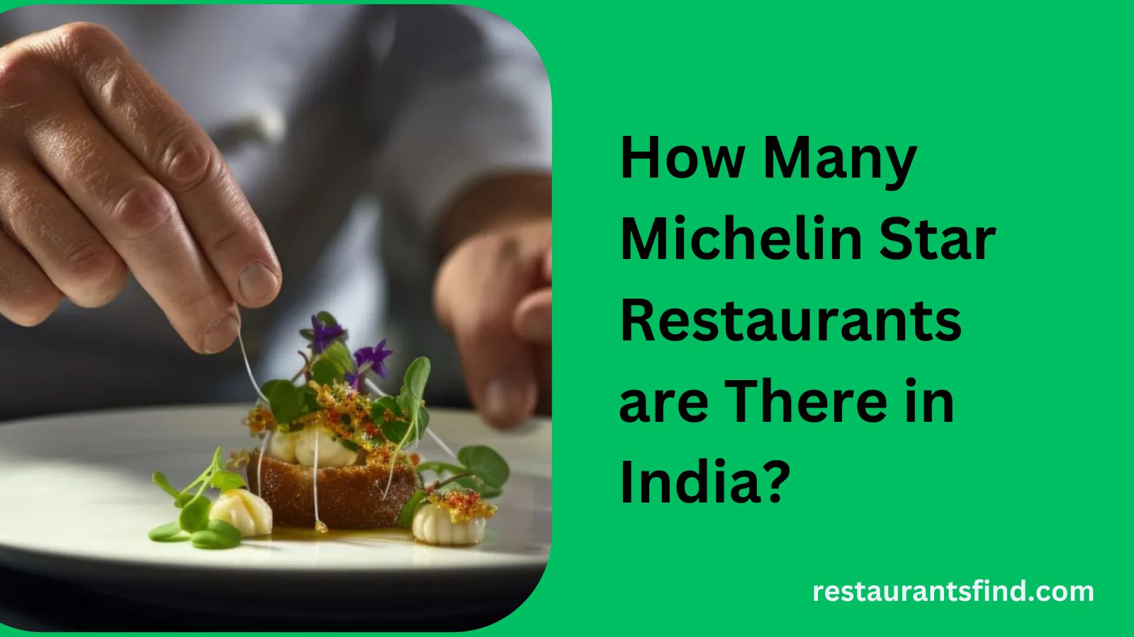 How-Many-Michelin-Star-Restaurants-are-There-in-India